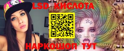 дживик Кимры