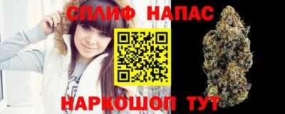 дживик Кимры