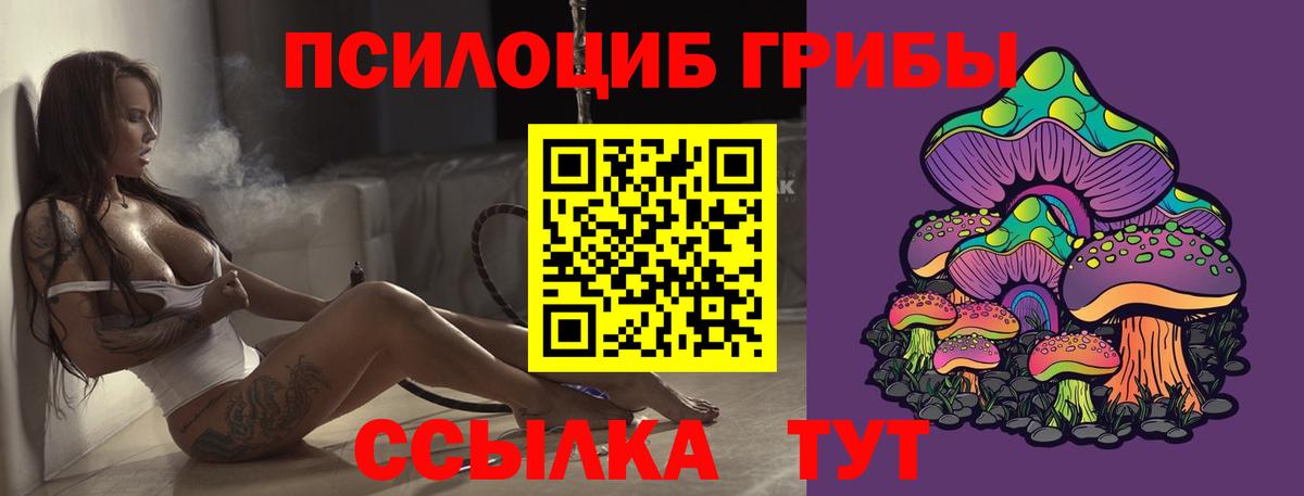 Псилоцибиновые грибы Psilocybe  Вход с VPN  Касимов  Псилоцибиновые грибы Psilocybe 